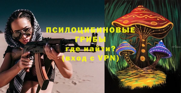 ПСИЛОЦИБИНОВЫЕ ГРИБЫ Абдулино