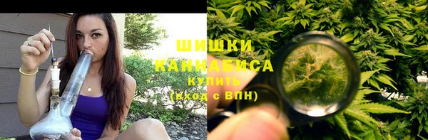 гашик Медногорск
