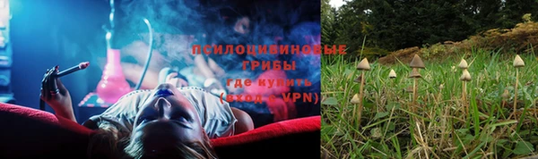 СК Абинск