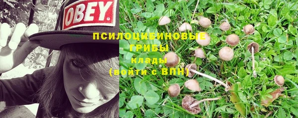 гашик Медногорск