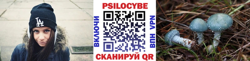 Галлюциногенные грибы мицелий  как найти закладки  Электросталь 