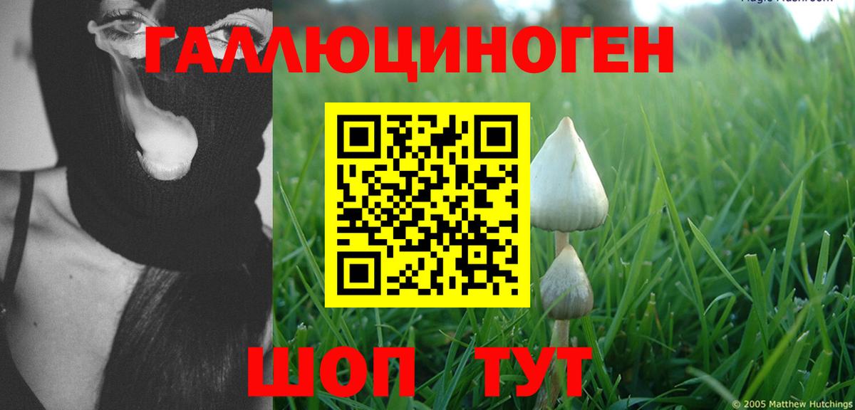 Галлюциногенные грибы мухоморы Электросталь